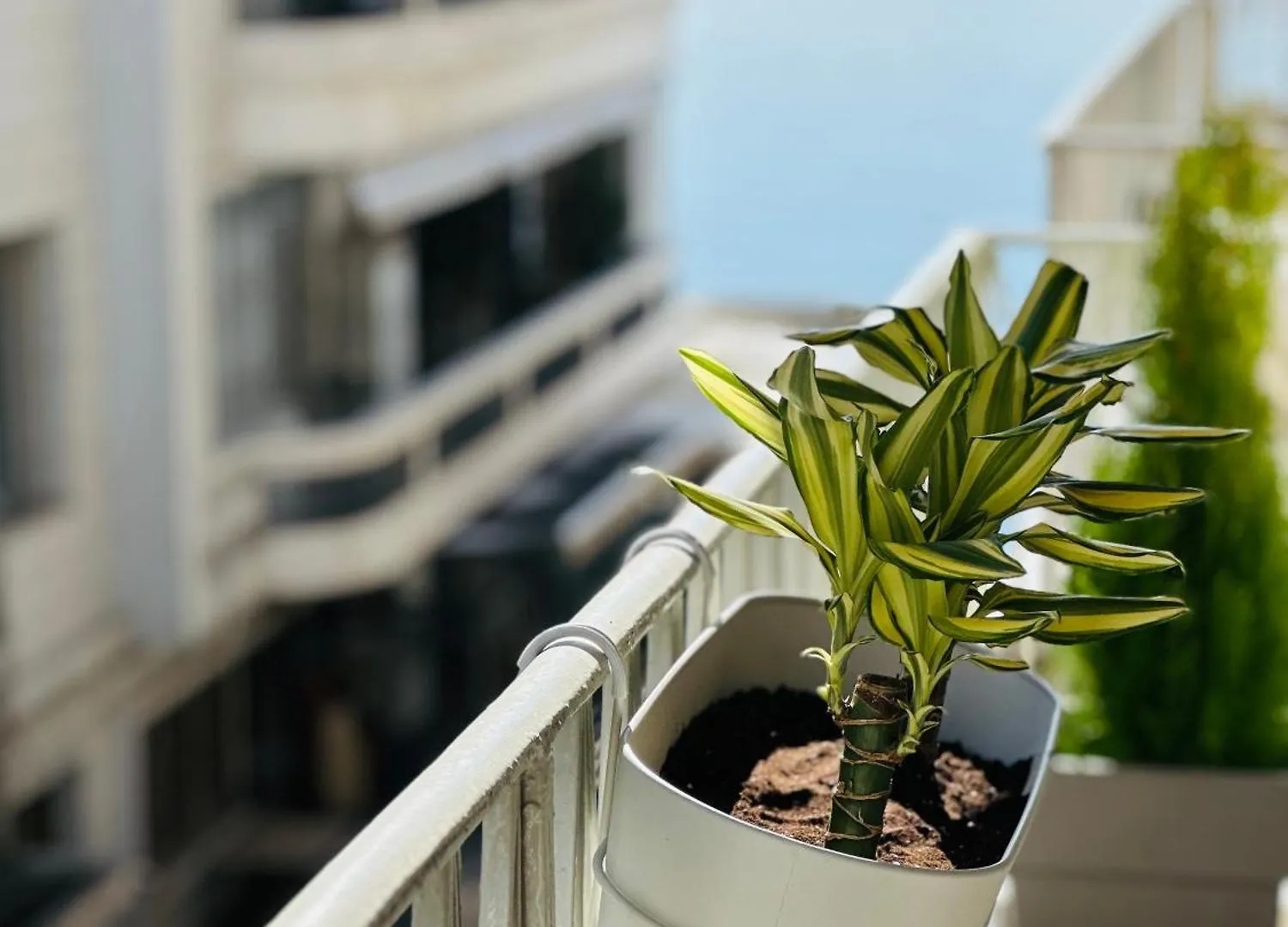Apartment Aristotelous Square N.4 Thessaloniki